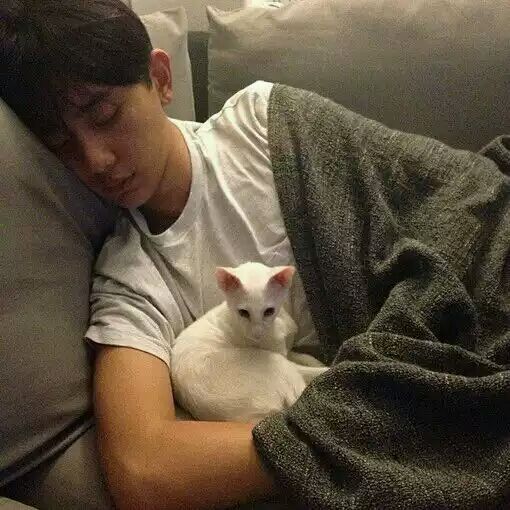 ʲôǳȩ̿ӵ